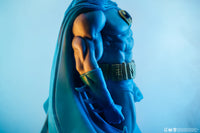 DC Batgirl Stephanie Brown Variant Premium Statue