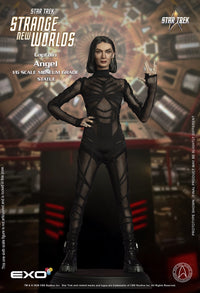 Captain Angel 1/6 Scale Collectible Statue