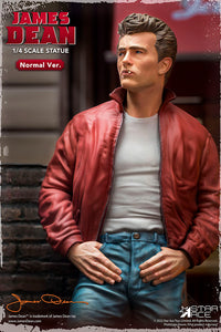 The Hollywood Rebel Icon