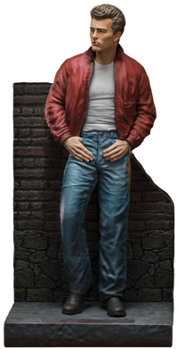 The Hollywood Rebel Icon