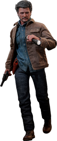 The Weathered Survivor of the Outbreak