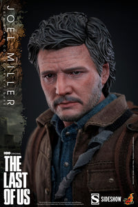 The Weathered Survivor of the Outbreak