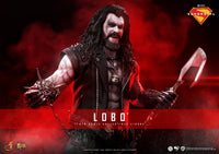 Lobo